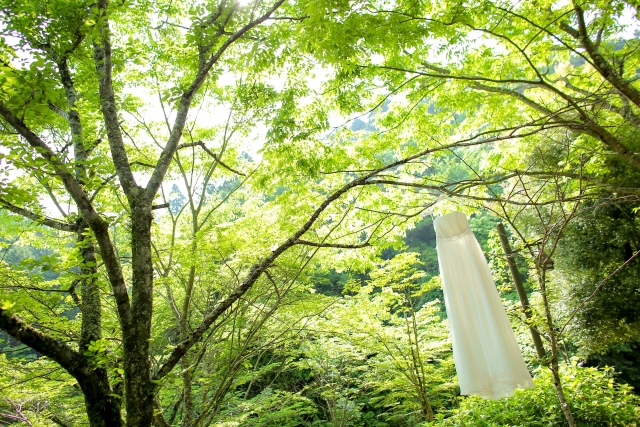 年末年始期間の営業のお知らせ