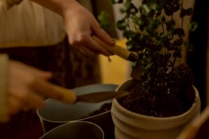 J夫妻大阪倶楽部レポート